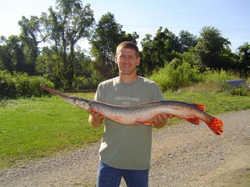 photo of Shelby Searls of Henderson holding the record longnose gar