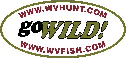 goWild Logo