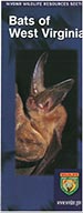 Bats of WV