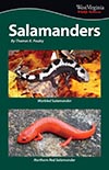 Salamanders