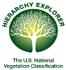 Hierarchy Explorer Logo