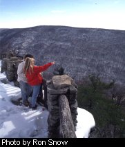 Overlook Trail at Cooper's Rock