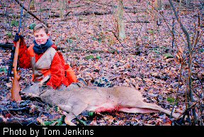 Deer