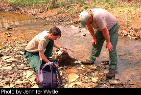 Biologists