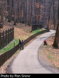 West Virginia Wildlife Center