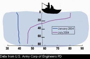 Summer vs. Winter Temperature Regimes in Stonewall Jackson Reservoir