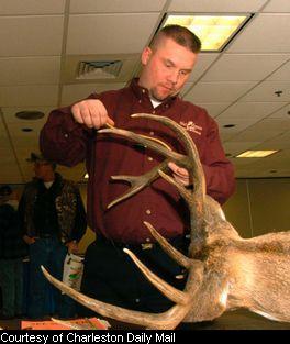 DNR Biologist Eric Richmond measures tine length.