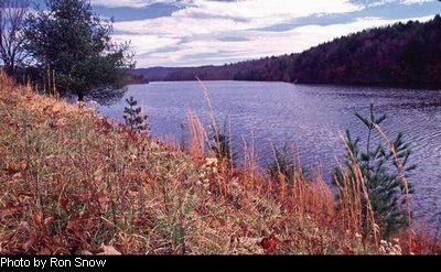 Stephens Lake in Raleigh County is an example of a lake which typically stratifies in summer