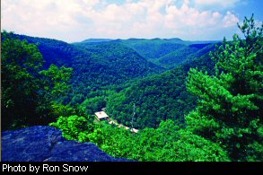 A view of the Bluestone River Gorge, looking down on the Mountain Creek Lodge