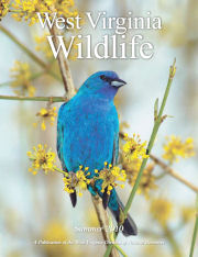 Cover of West Virginia Wildlife Magazine