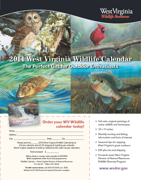 2011 Wildlife Calendar