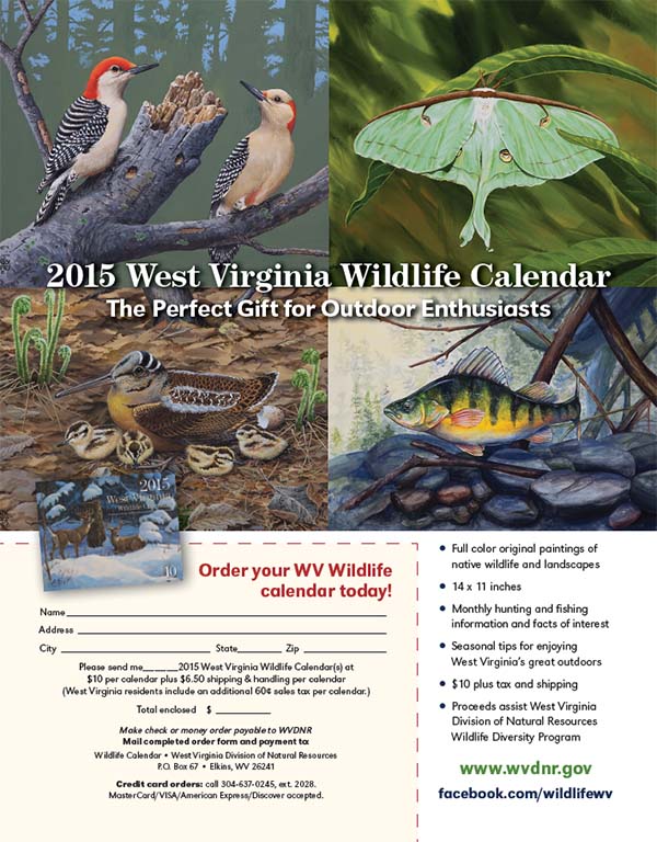 2011 Wildlife Calendar