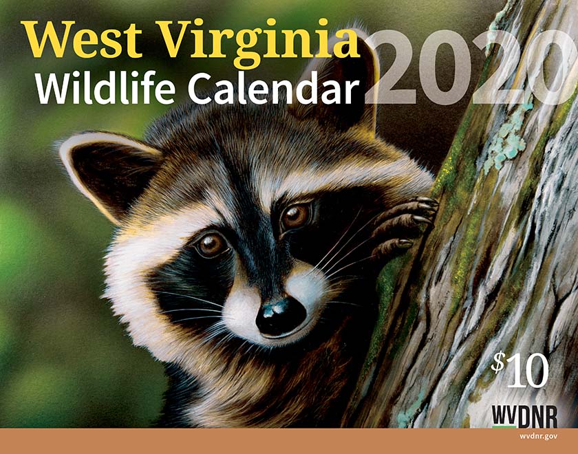 Wildlife Calendar