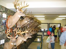 Big buck display