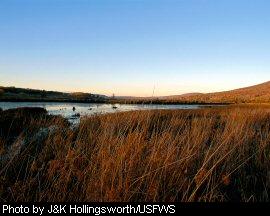 Canaan Valley NWR