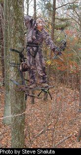 Bowhunter aims at big buck.