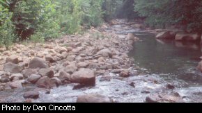 Streams throughout West Virginia are being surveyed to determine stream health