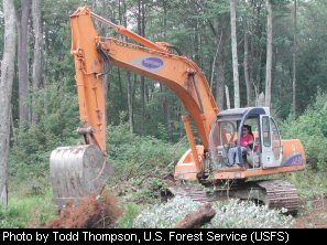 An excavator removes stumps and other woody debris