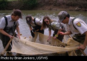 The US Fish and Wildlife Service, the US Forest Service, and the DNR working together