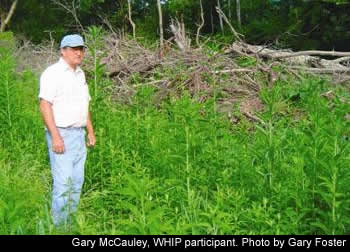 Gary McCauley, WHIP participant