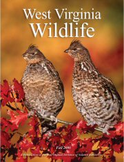 Cover of West Virginia Wildlife Magazine