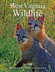 Cover of West Virginia Wildlife Magazine