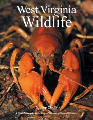 Cover of West Virginia Wildlife Magazine