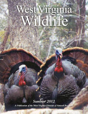 Cover of West Virginia Wildlife Magazine