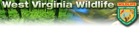 West Virginia Wildlife